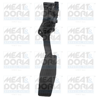 Accelerator Pedal Unit